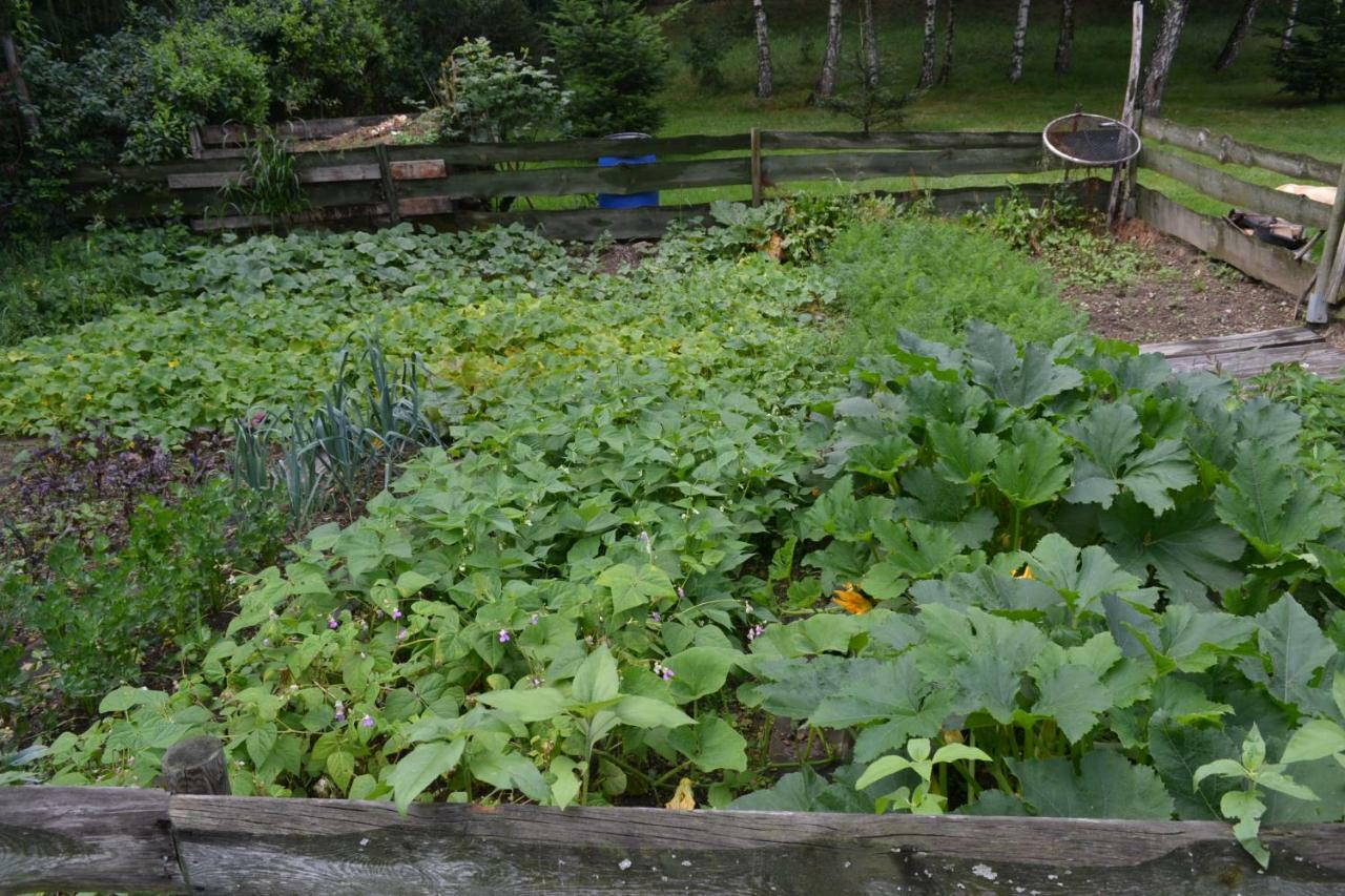 Agroturystyka Teosiowo Pobiedna Extérieur photo